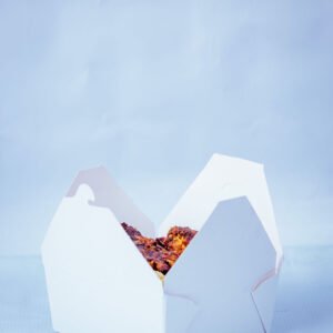 Aquada Box White Lunch Pack with food inside